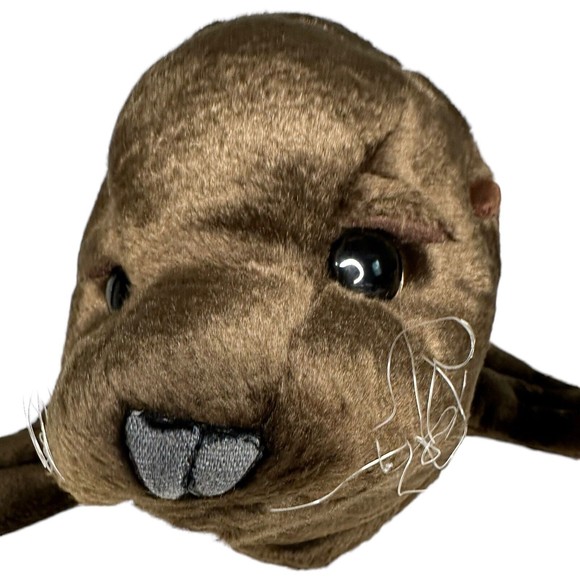 Rare Folkmanis Folktails Sea Lion Hand Puppet Full Body 18" Realistic Plush 18” - Picture 5 of 16
